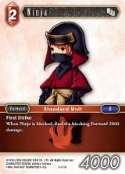 Ninja