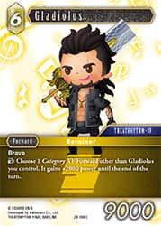 Gladiolus