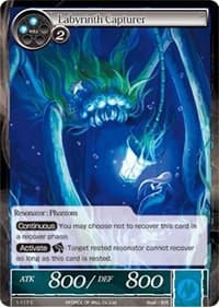 Labyrinth Capturer