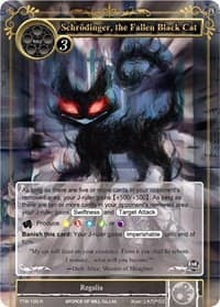 Schrodinger, the Fallen Black Cat