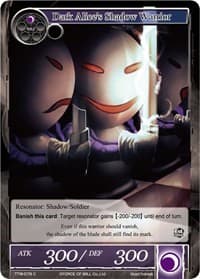 Dark Alice's Shadow Warrior