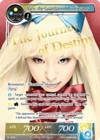 Alice, the Guardian of Dimensions (Cosplay)