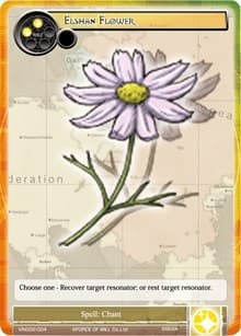 Elshan Flower