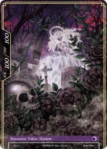 Shadow Token