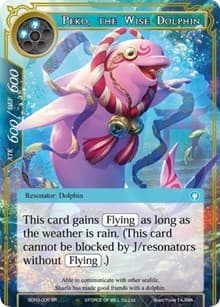 Peko, the Wise Dolphin