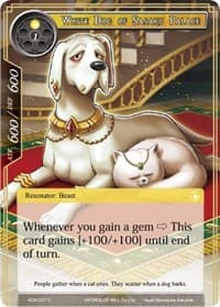 White Dog of Sasaru Palace