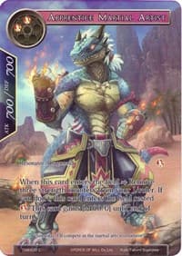 Apprentice Martial Artist (Full Art)