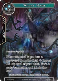Witch's House
