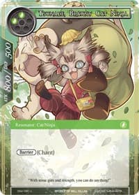 Tsunade, Brawny Cat Ninja