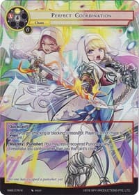 Perfect Coordination (Full Art)