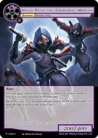 Ninjas Protecting Gandennia's Mansion