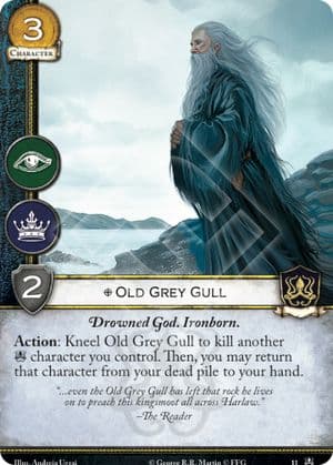 Old Grey Gull