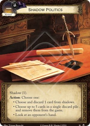 Shadow Politics