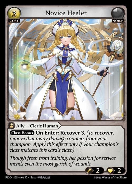 Novice Healer
