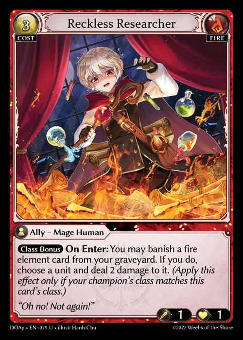 Reckless Researcher