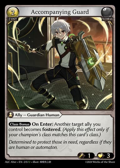 Accompanying Guard