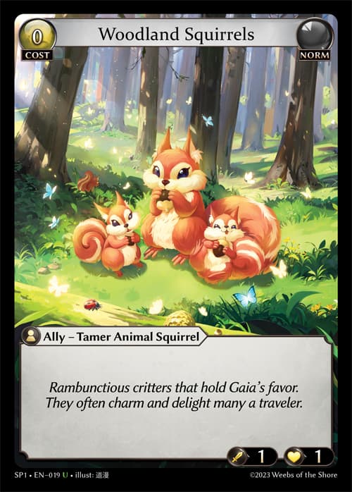 Woodland Squirrels