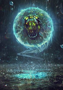 The Last Wish
