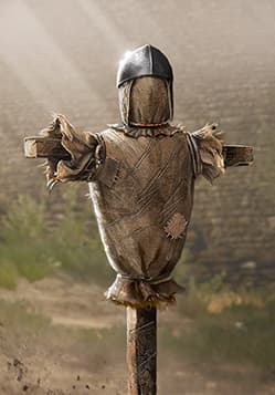 Decoy