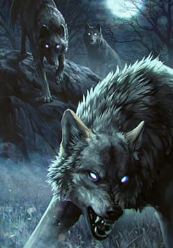 Wolf Pack