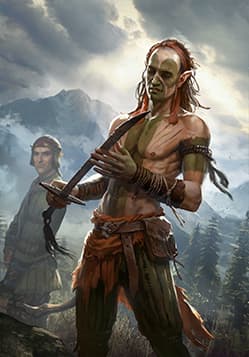 Scoia'tael Neophyte
