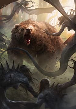 Savage Bear