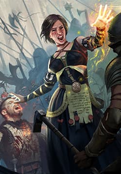 Fringilla Vigo