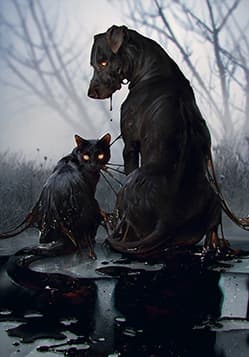 Iris' Companions