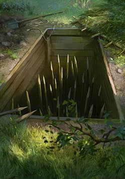 Pitfall Trap