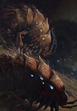 Barbegazi