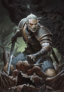 Geralt: Professional