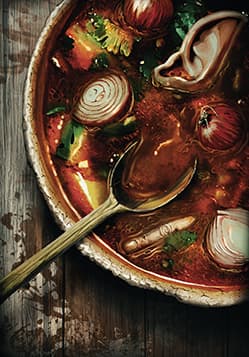 Elf and Onion Soup