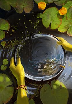 Water of Brokilon