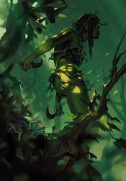 Brokilon Sentinel