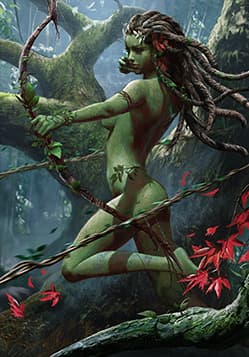 Dryad Ranger