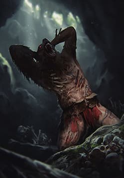 Svalblod Fanatic