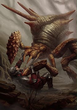 Armored Arachas