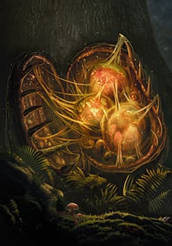 Endrega Eggs