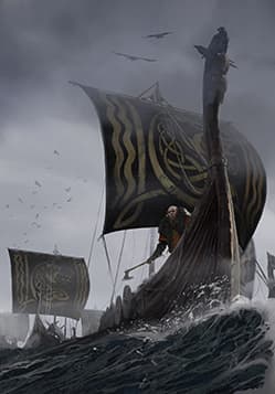 Raiding Fleet