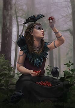 Crow Clan Druid