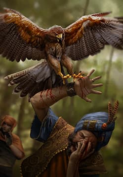 Trained Hawk