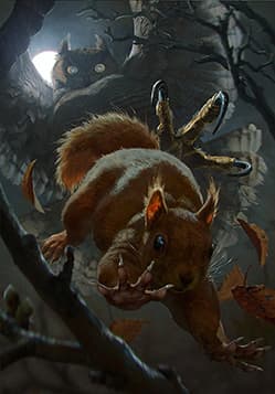 Squirrel