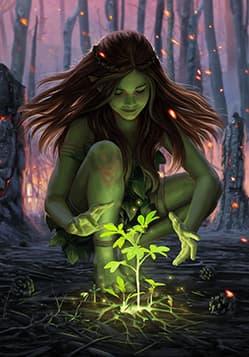 Shaping Nature