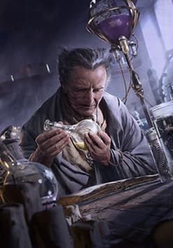 Viper Witcher Alchemist