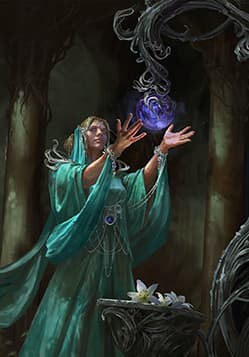 Elven Seer