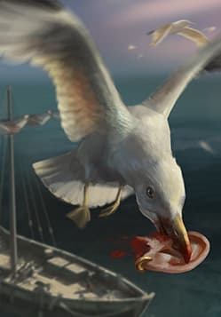 Seagull