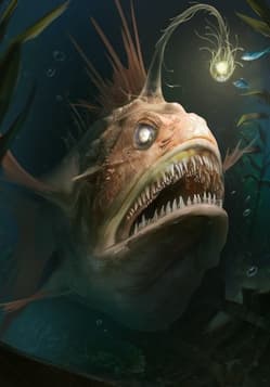 Anglerfish