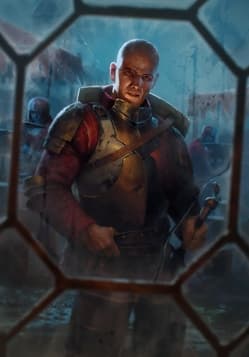 Oxenfurt Guard