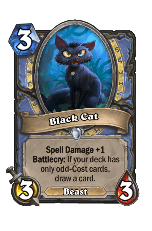 Black Cat