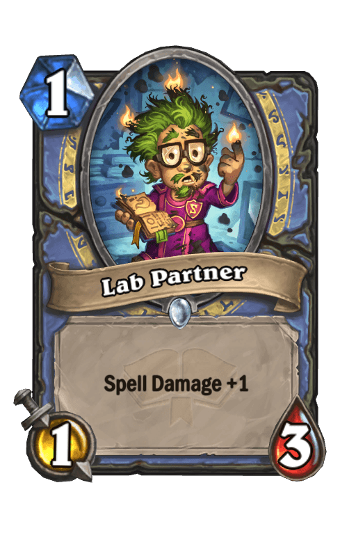 Lab Partner